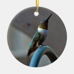 Grüne Ruby kleiner Hummingbird Keramikornament