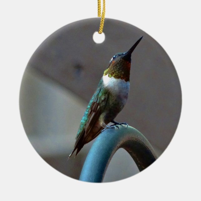 Grüne Ruby kleiner Hummingbird Keramikornament (Vorne)