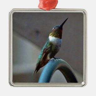Grüne Ruby kleiner Hummingbird Silbernes Ornament