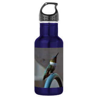 Grüne Ruby kleiner Hummingbird Trinkflasche