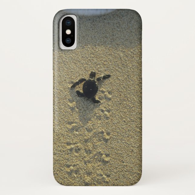 Grüne Schildkröte (Chelonia mydas), Bruchling Case-Mate iPhone Hülle (Rückseite)