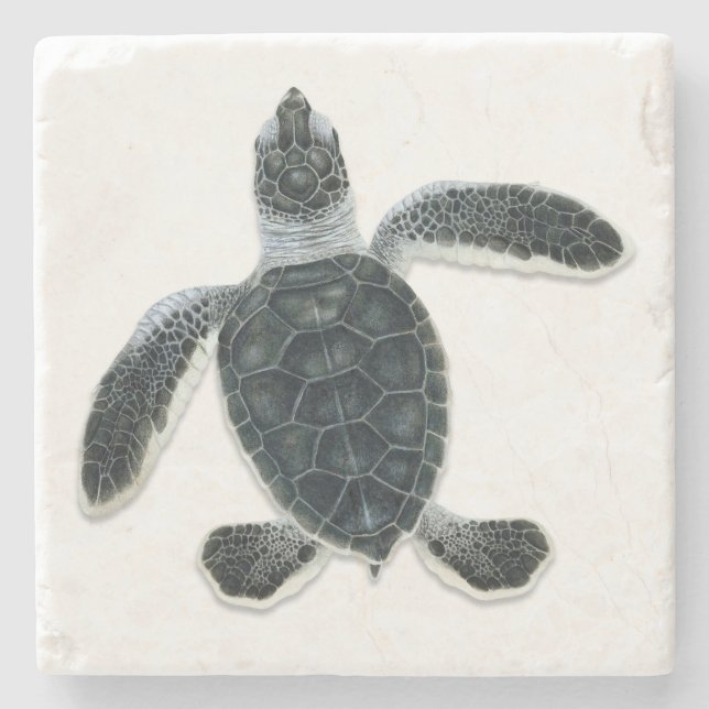 Grüne Schildkrötehatchlings-Stein-Untersetzer Steinuntersetzer (Vorderseite)
