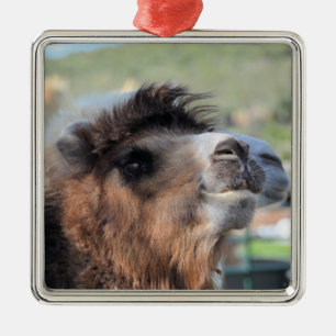 Grüne Smoothie des Camel-Ornaments Ornament Aus Metall