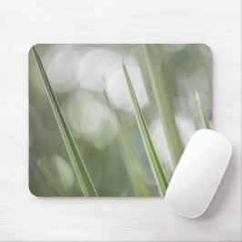 Grüne spitzen Pflanze Natur Foto Mousepad
