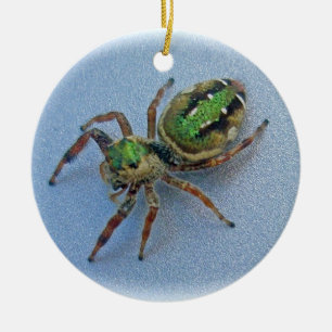 Grüne springende Spinnen-Weihnachtsverzierung Keramik Ornament