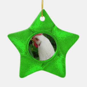 Grüne Stern-Fotoverzierung Keramik Ornament