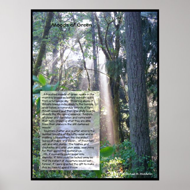 Grüne Stimmungen Poster (Vorne)