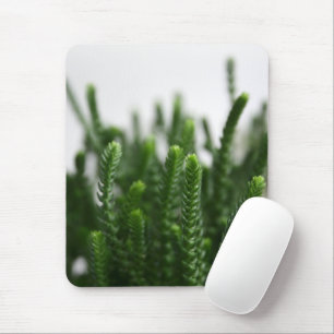 Grüne Sukkulente Gras Pflanze - Zen Spa Natur Foto Mousepad