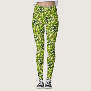 Grüne Sukkuline Nahe Kakteen Art Leggings