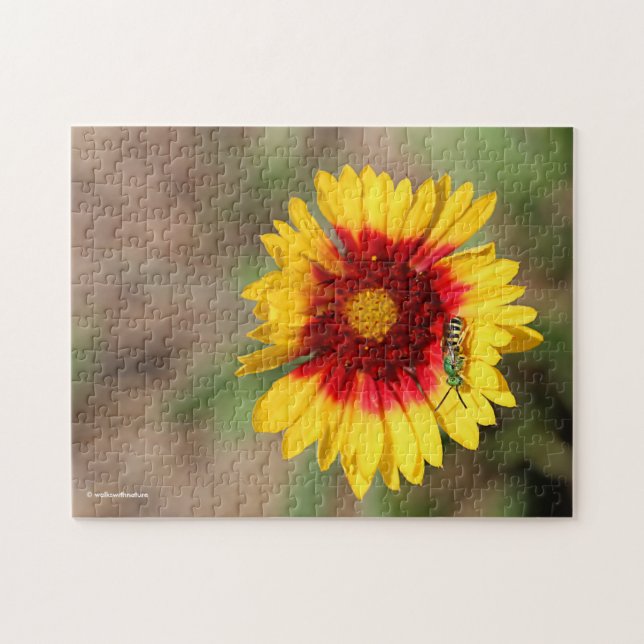 Grüne Sweat Bee Pollinating Wilde Blanketblume Puzzle (Horizontal)