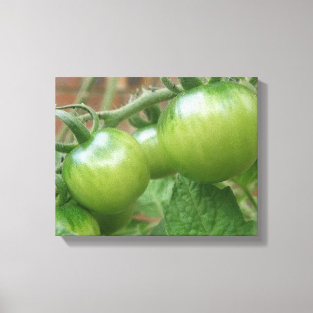 Grüne Tomaten Canvas Print Leinwanddruck (Vorderseite)