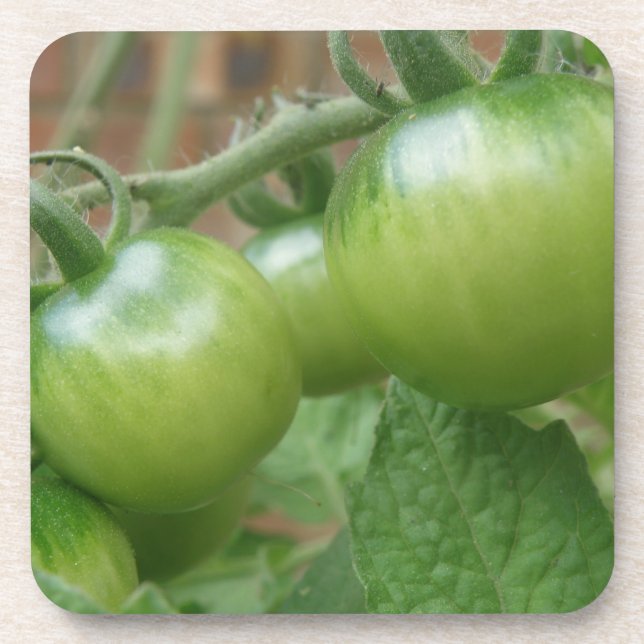 Grüne Tomaten Cork Untersetzer (Vorderseite)