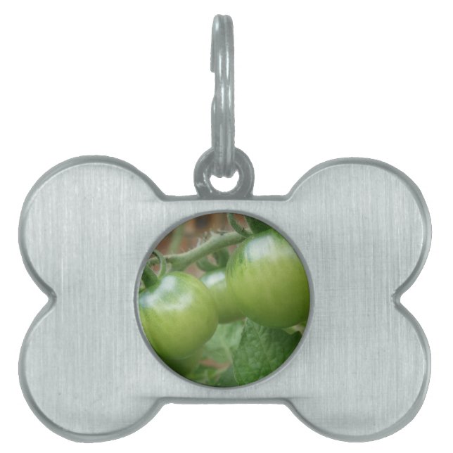 Grüne Tomaten/Paradeiser Tiermarke (Vorderseite)