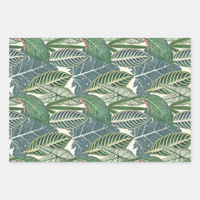 Grüne tropische Blätter (Vorderseite)