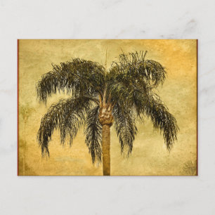Grüne tropische Palme Baum Hawaiianische Vintage P Postkarte
