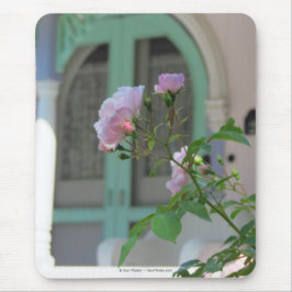 Grüne Tür und Rose - Martha's Vineyard Mousepad