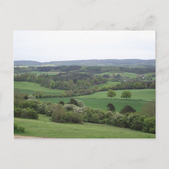 Grüne und angenehme Postkarte (Vorderseite)