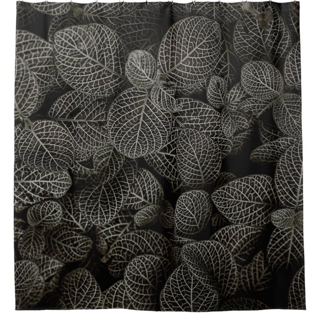 GRÜNE UND BROWNE KENNZEICHEN DUSCHVORHANG (Vorderseite)