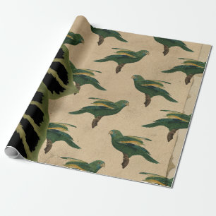 Grüne und gelbe Vögel im Vintage-Stil Geschenkpapier