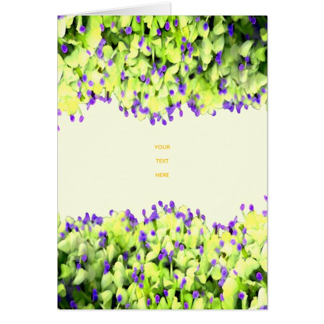 grüne und violette Blüten (Vorne)