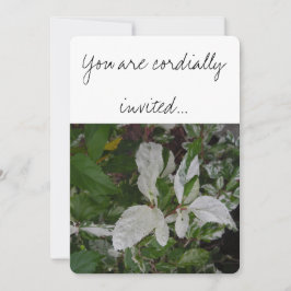 Grüne und weiße Blätter: Hochzeit Einladung