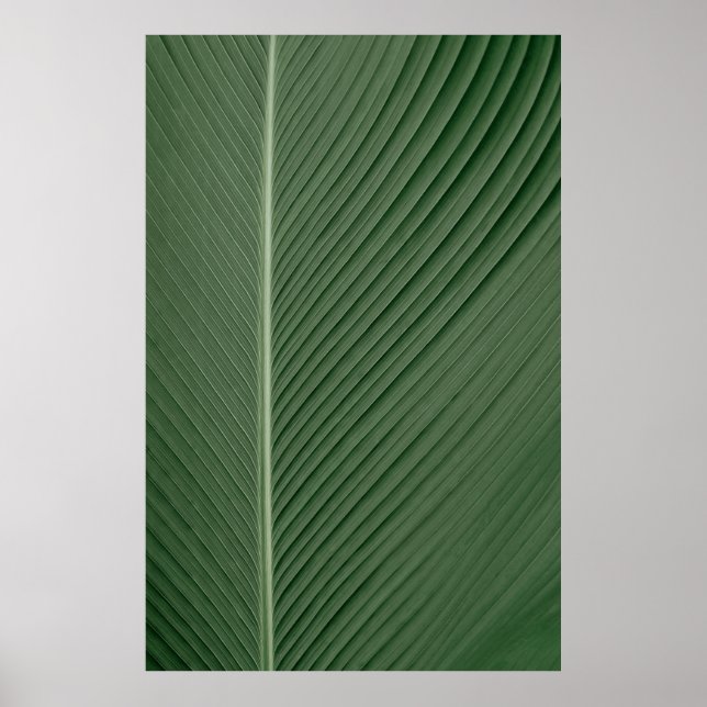 Grüne und weiße Streifen Poster (Vorne)