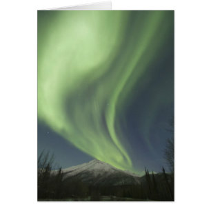 Grüne Vorhänge der Aurora borealis am Himmel