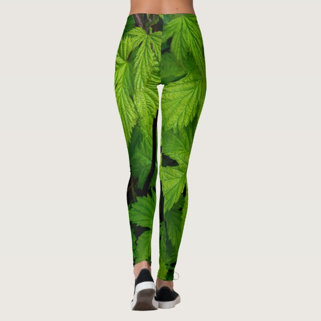 Grüne Weinberge Schönheit Leggings (Rückseite)