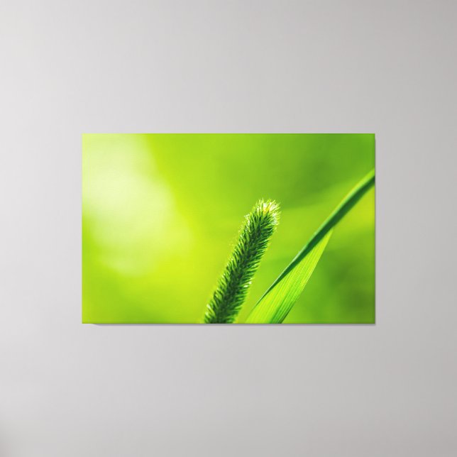 Grüne Welt Leinwanddruck (Vorderseite)