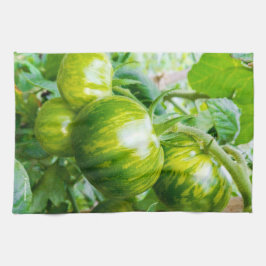 Grüne Zebra Heirloom Tomaten/Paradeiser auf dem We Geschirrtuch