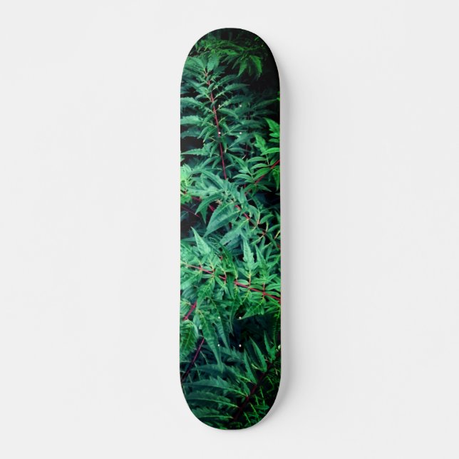 Grüne Zweige Skateboard (Vorne)