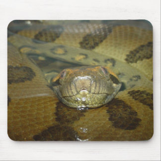 Grüner Anaconda Mousepad