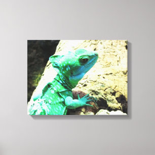 Grüner Basilisk Echse Reptil Leinwanddruck