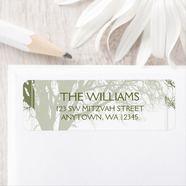 Grüner Baum Bar Mitzvah (Insitu)