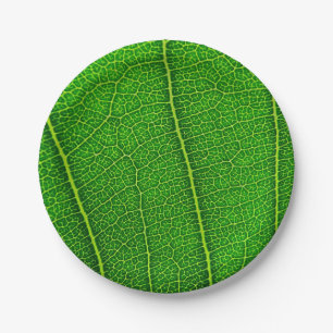 Grüner Baum Blatt Pappteller