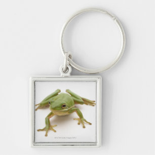 Grüner Baum-Frosch Schlüsselanhänger
