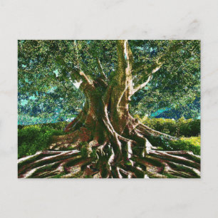 Grüner Baum Postkarte