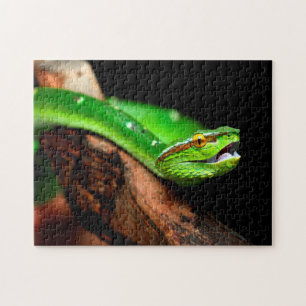 Grüner Baum Python, Puzzle