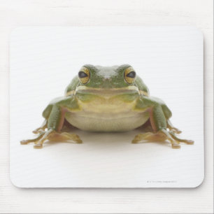 Grüner Baumfrosch (Hylidae cinerea) Mousepad