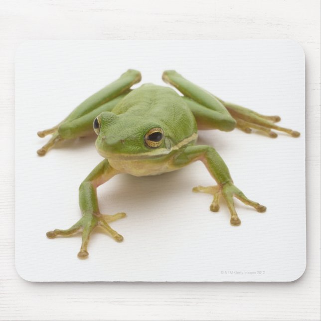 Grüner Baumfrosch Mousepad (Vorne)