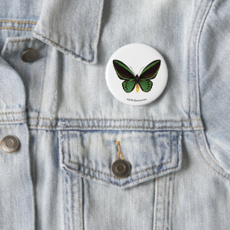 Grüner Birdwing Schmetterling Button