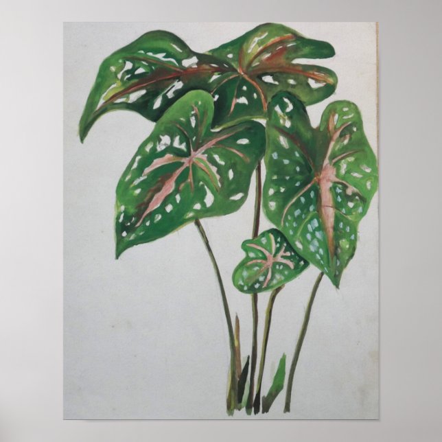 Grüner Blatt Botanischer Wandkunst Druck Poster (Vorne)