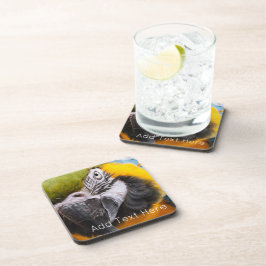 Grüner, blauer und gelber Papagei Getränkeuntersetzer