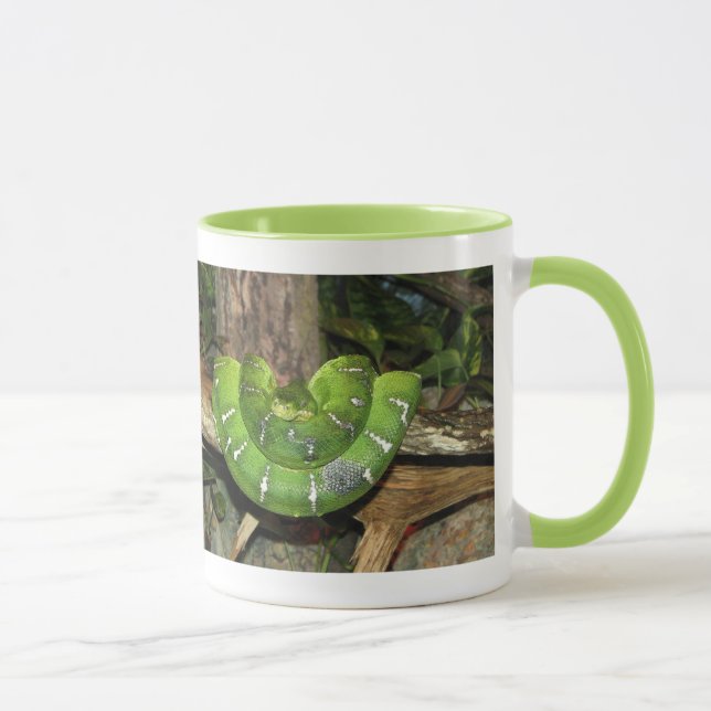 Grüner Boa-Schlangen-Ringermug Tasse (Rechts)