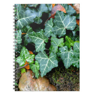 Grüner botanischer Efeu und Feldstein Notizblock