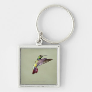 Grüner-breasted Mango-Kolibri Anthracocorax 2 Schlüsselanhänger