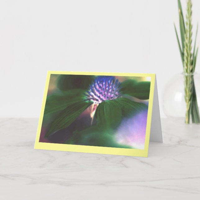 "Grüner Echinacea " Karte (Vorderseite)