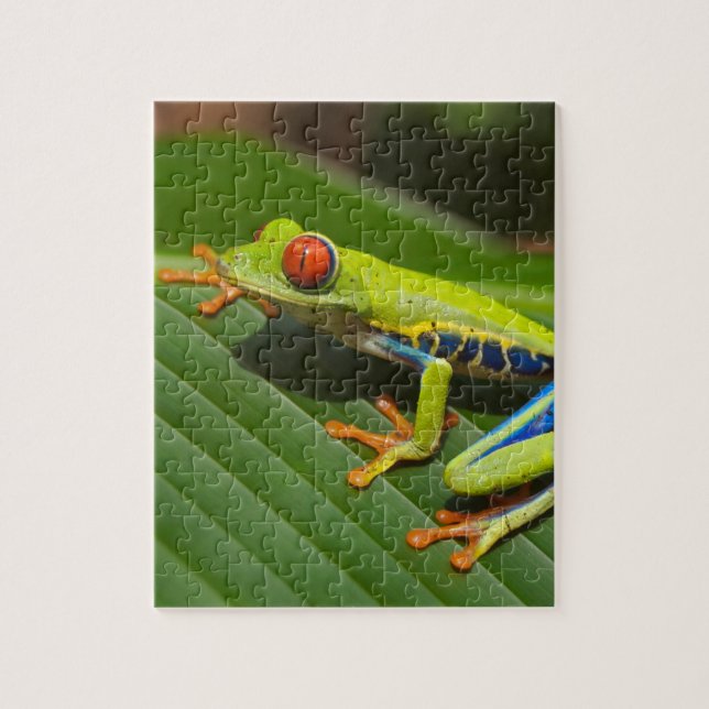 Grüner, farbiger Dschungelbaumfrosch Puzzle (Vertikal)