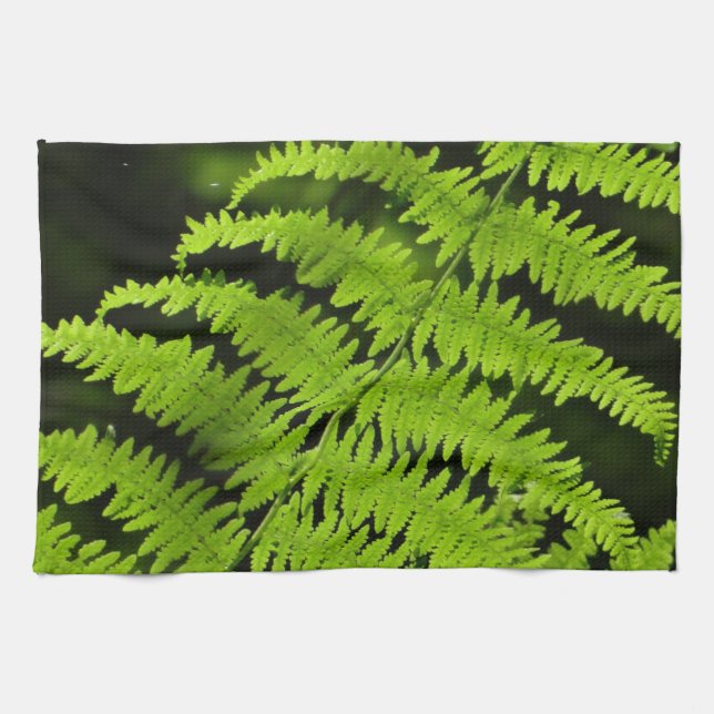 Grüner Farn Geschirrtuch (Horizontal)