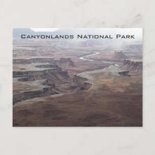 Grüner Fluss Postkarte